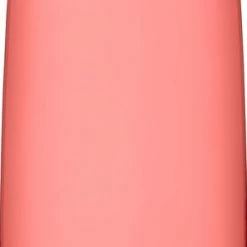 CamelBak Chute Mag - Drinkfles - 1 L - Roze (Rose) -WMF Shop 295x840 1