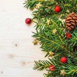 Merkloos Papieren Placemats Onderleggers "Kerstmis Takken" 50 Stuks (30x42cm)