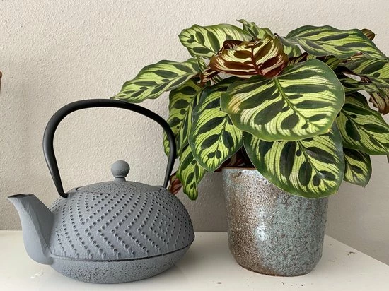 Bredemeijer Theepot Fujian 1.2L Met Filter Warm Grijs 8 Bredemeijer Theepot Fujian 1.2L Met Filter Warm Grijs - Afbeelding 6