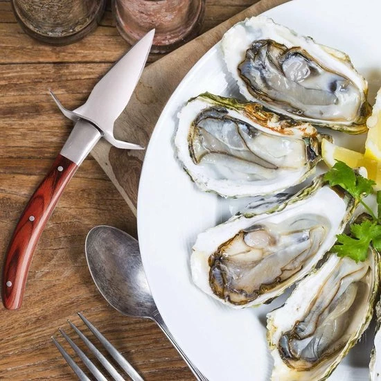Oestermes Set Met Snijbestendige Handschoenen - Veilig Oesters Openen - Snijwerende Handschoenen - Keuken Accessoires - Bruin | Lobster Family 12 Oestermes Set Met Snijbestendige Handschoenen - Veilig Oesters Openen - Snijwerende Handschoenen - Keuken Accessoires - Bruin | Lobster Family - Afbeelding 10