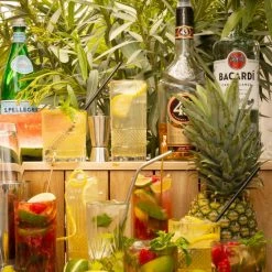 WMF Shop -WMF Shop 550x773